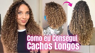 Meu Cabelo NUNCA PASSAVA DOS OMBROS! Como foi meu Processo de CRESCIMENTO CAPILAR + DICAS!