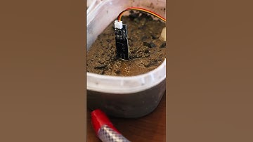 Fall 2024 ENG 3 Design Showcase