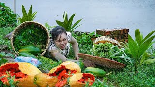 Unexpected Disaster: Papaya Harvest Ruined Goes To Countryside Market Sell - Cooking | My Free Life