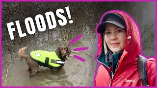 December downpours while travelling in my MICRO CARAVAN  🌧️  | Go-Pod | VLOG 4 by Roz 7,824 views 4 months ago 29 minutes