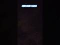 subscribe please