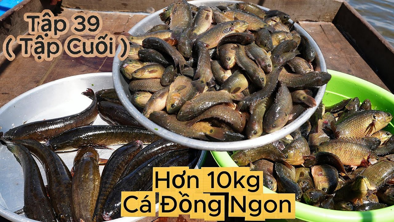 cuộc sống 
