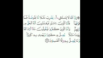 2 - سورة البقرة ٢٦ - مشاري بن راشد العفاسي