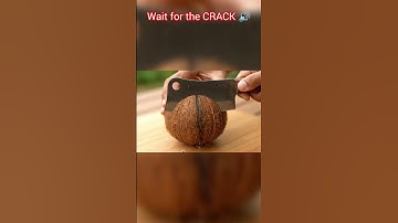 This sound should be illegal 🤯🥥