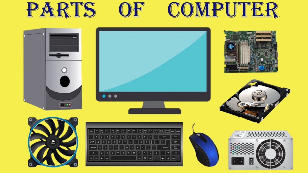 Parts Of Computer Input Devices at Tamara Hall blog