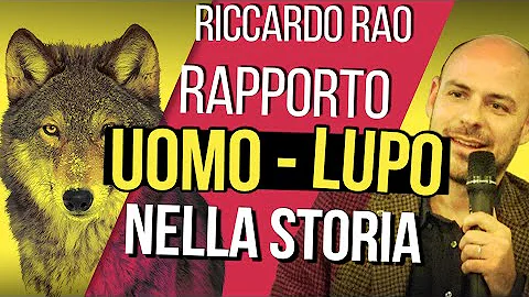 Come è strutturato un clan?
