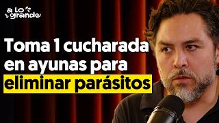 Download Lagu Experto en Parásitos y Microbiota: \ MP3 Download Lagu Experto en Parásitos y Microbiota: \ MP3