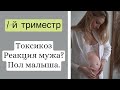 1 триместр. ТОКСИКОЗ. РЕАКЦИЯ МУЖА. ПОЛ МАЛЫША