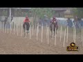 CORRIDA DE CAVALOS - DESAFIO GUAPO JR X ALFA FLY - JOCKEY CLUB DE RORAIMA