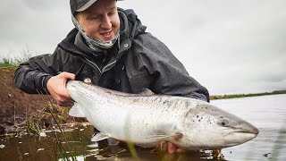 How To Catch A Salmon In Denmark  What Gear And Techniques?