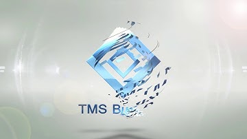 From Database to Web App through REST server with TMS XData and TMS WEB Core