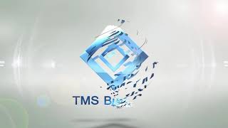 From Database to Web App through REST server with TMS XData and TMS Web Core screenshot 1