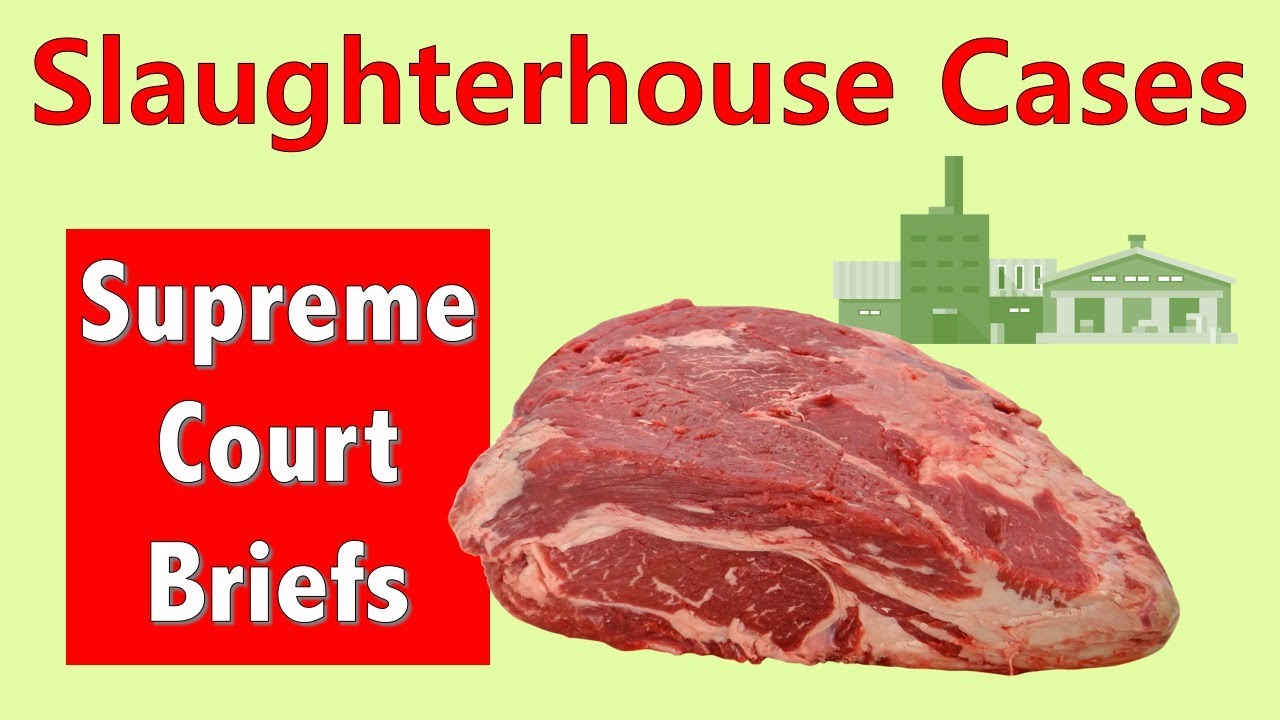 How Animal Guts Gutted the 14th Amendment The Slaughterhouse Cases