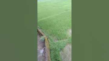 Tu Khali Maro 