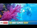 The Daily Climate Show: Australia hits back at Great Barrier Reef protection plan