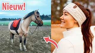 Barebackpad gekocht & de rijbroek en hoofdbanden zijn binnen! 🍂 Feline Fauve