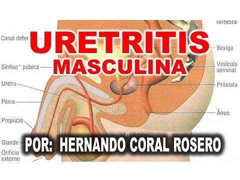 quiste de próstata cural