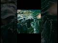 Heavy Gunfire and RPG Explosions Rocked the Hills #film #movie #military #trendingshorts #shorts