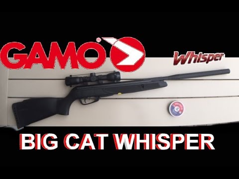  Gamo  Big Cat  Whisper  YouTube