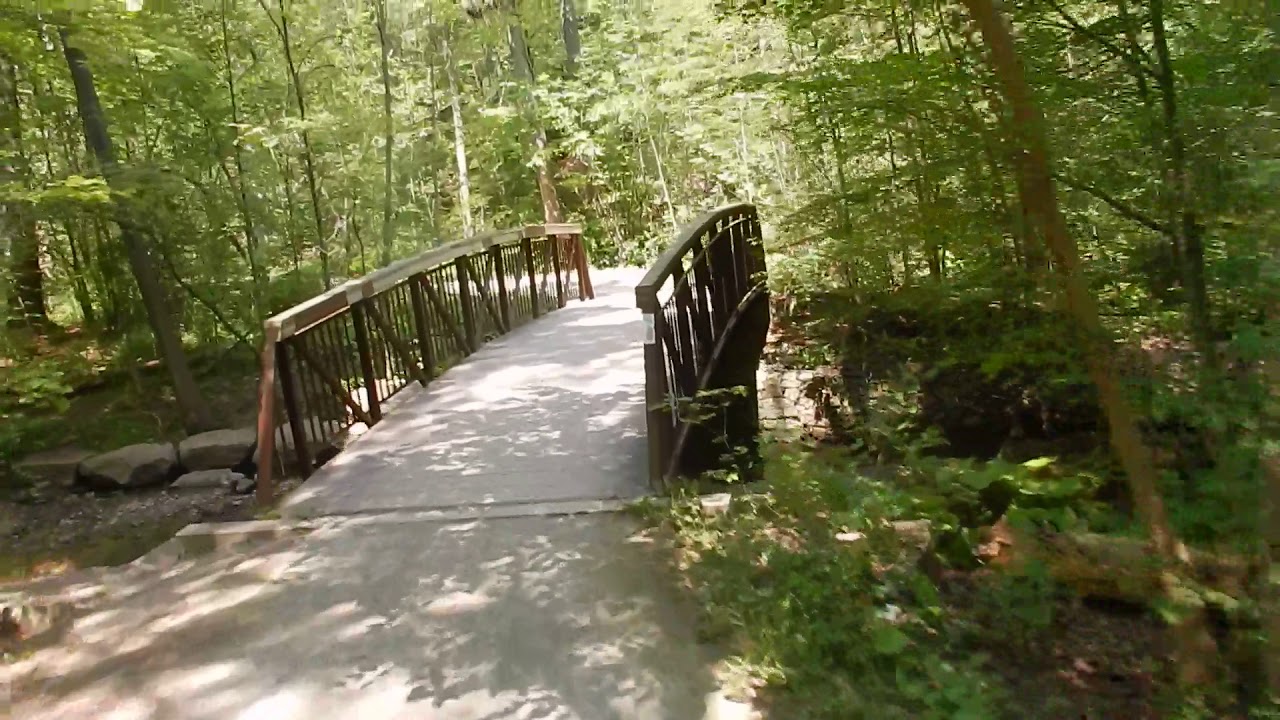 "Morrison Valley South Trail" Oakville Ontario August 2017 (1 of 2