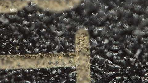 DIY Macro Rail - Stack sequence (30X)