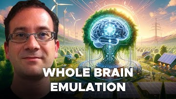 The case for a standardized WBE challenge, being concrete about whole brain emulation - Randal Koene