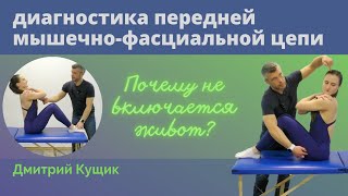 ДИАГНОСТИКА ПЕРЕДНЕЙ МФЦ | Почему не включается живот? | Кинезиолог Дмитрий Кущик