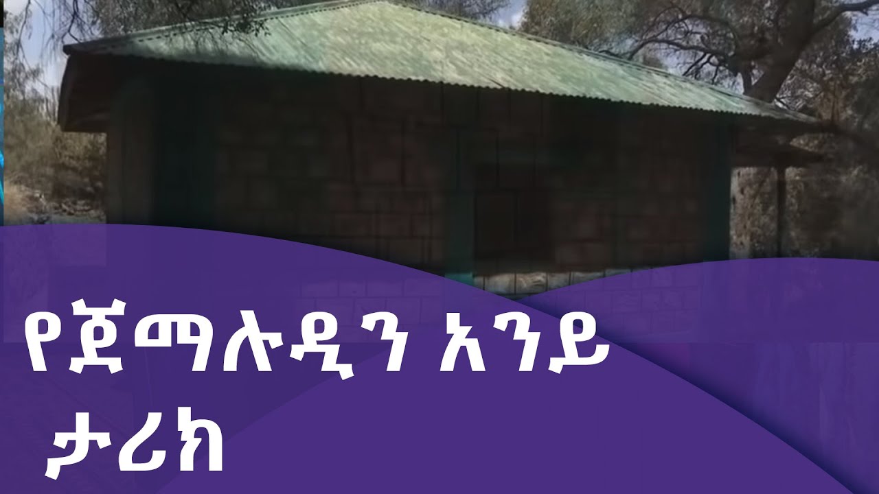 የ1442ኛው የዒድ አል-ፈጥር በዓል ልዩ የመዝናኛ ዝግጅት  የጀማሉዲን አንይ ታሪክ