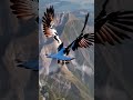 DJ JEDY - Castle In The Snow #cover #nature #viralvideo #shorts #shortvideo #deephouse #vibes