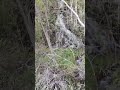 ВОДОПАД,ПУТИНЦЕВО