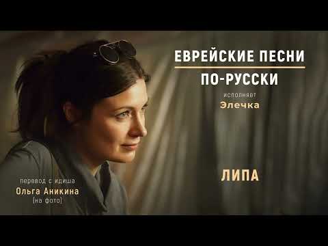 Липа cover