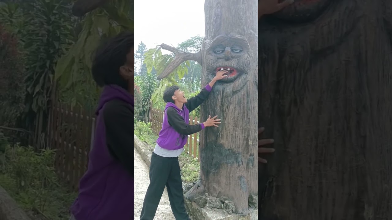tangannya di gigit pohon ajaib😲 