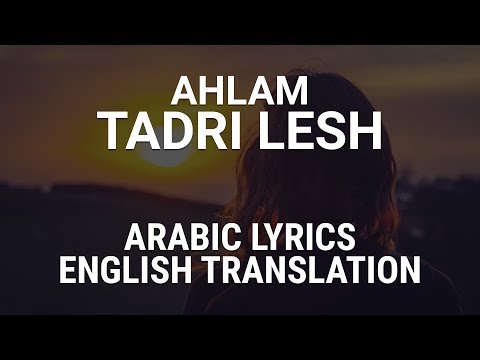 Ahlam - Tadri Lesh (Emirati Aarbic) Lyrics + Translation -  أحلام - تدري ليش كلمات