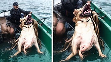 Fishing Anomalies Captured That No One Believed to Have Existed