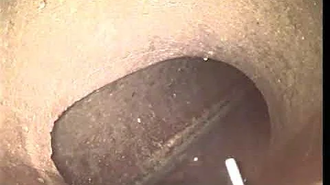 2019 08 02 11 49 37