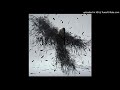 Aimer Black Bird