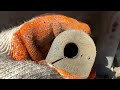 Improved Handling: 1996 Toyota Corolla Rear Sway Bar Bushing Fix