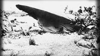 Roswell Incident, All In New Mexico Podcast