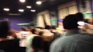 Dbridge  System Carnival Special 2014