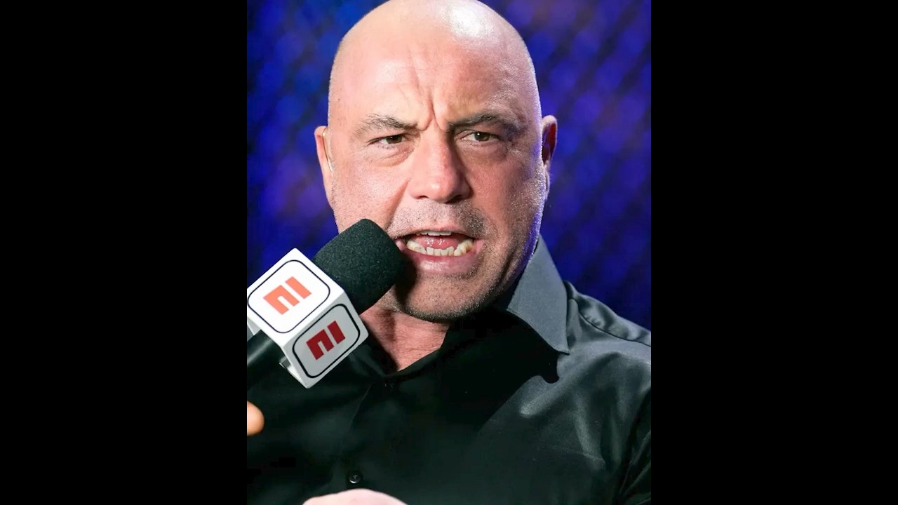 Джо Роган отрицает встречу с Эпштейном после презентации проекта в 2017 году.