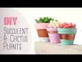 DIY: Succulent & Cactus Plants | Cute & Happy Home Decor Ideas