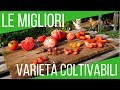 Le migliori varietà di pomodoro da coltivare | ORTO E GIARDINAGGIO