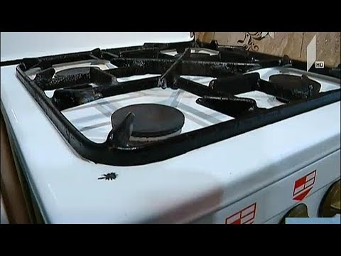 ყაზტრანსგაზის განცხადება