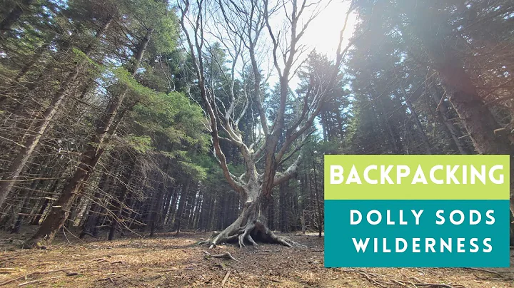 Backpacking Dolly Sods Wilderness