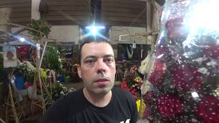 Наша первая годовщина свадьбы. Дарю цветы и идем в ресторан. Сколько цветов дарить филиппинке? Наша первая годовщина свадьбы. Дарю цветы и идем в ресторан. Сколько цветов дарить филиппинке?