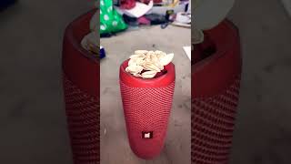 piste ka bij JBL #bass #jblflip5 #bassspeaker #jblspeaker #speaker #bluetooth #tiktok #entertainment