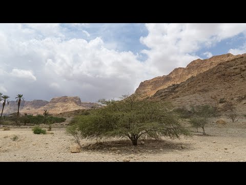 וִידֵאוֹ: מה ללבוש בטיול למקסיקו