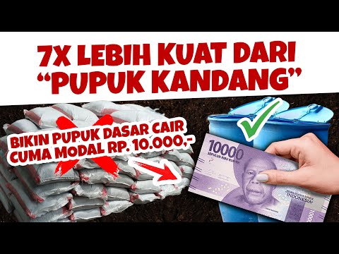 Video: Cara Membuat Suspensi Cair dengan Pil Tanah: 8 Langkah