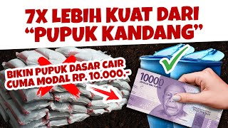 MODAL RP 10.000 SAJA.!!! CARA MEMBUAT PUPUK DASAR CAIR PALING KUAT. MAU.?