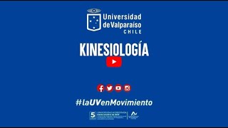 Kinesiología, Universidad de Valparaíso.